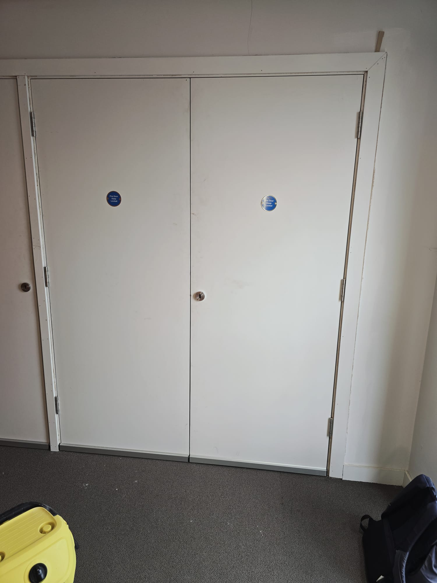 Paired service-cupboard doors, Barlett Park