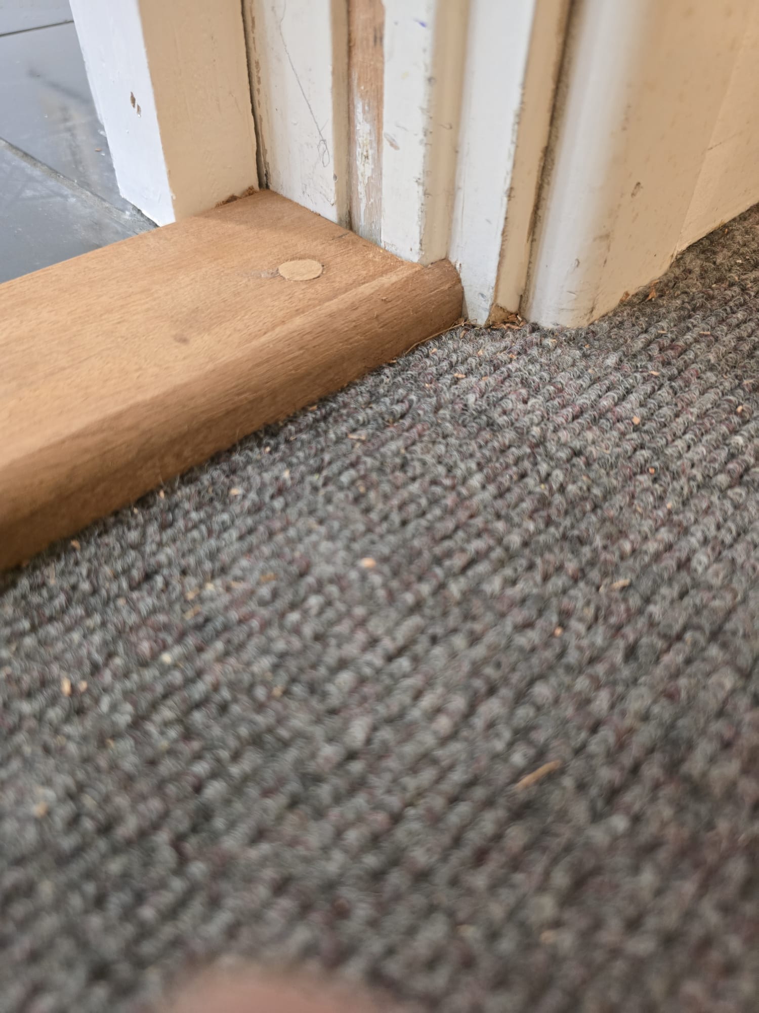 Threshold detail during remedial works, Warwick Apartments