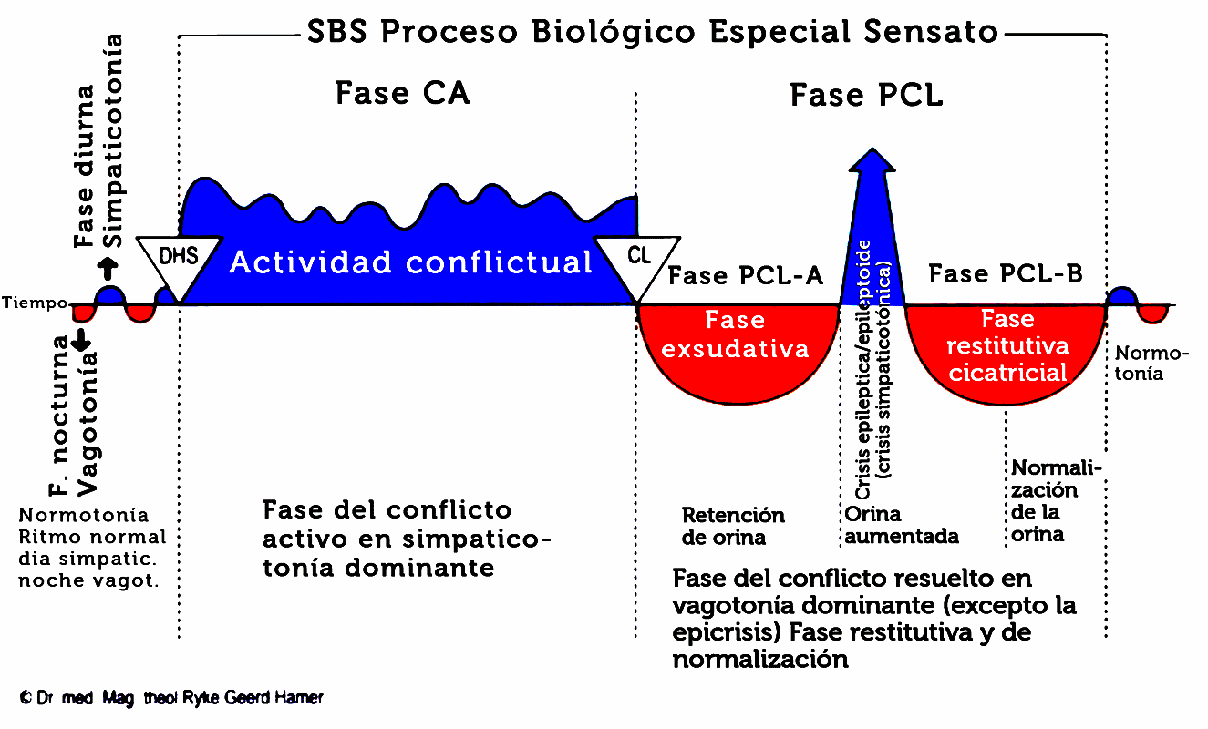 leyBifasica0a.gif