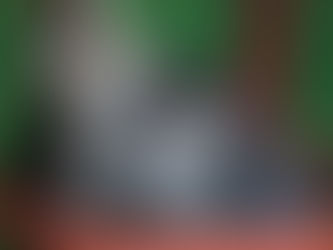 Future home of the Bumper Crop Cafe Blog