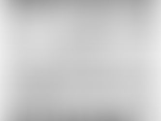 What is FACS rigging?