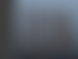 FACS #1: Photogrammetry Data