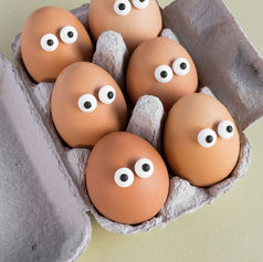 Eyes on Eggs