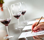 wine certificate.jpg