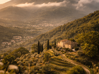 Die Landschaft in Kampanien mit Weinbergen und einem Haus