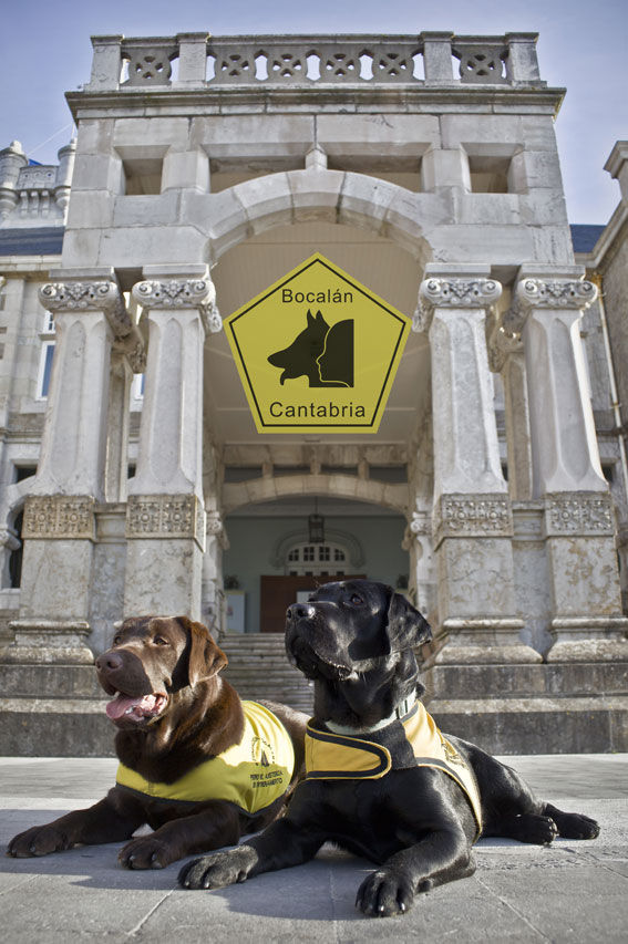 Bocalán Cantabria