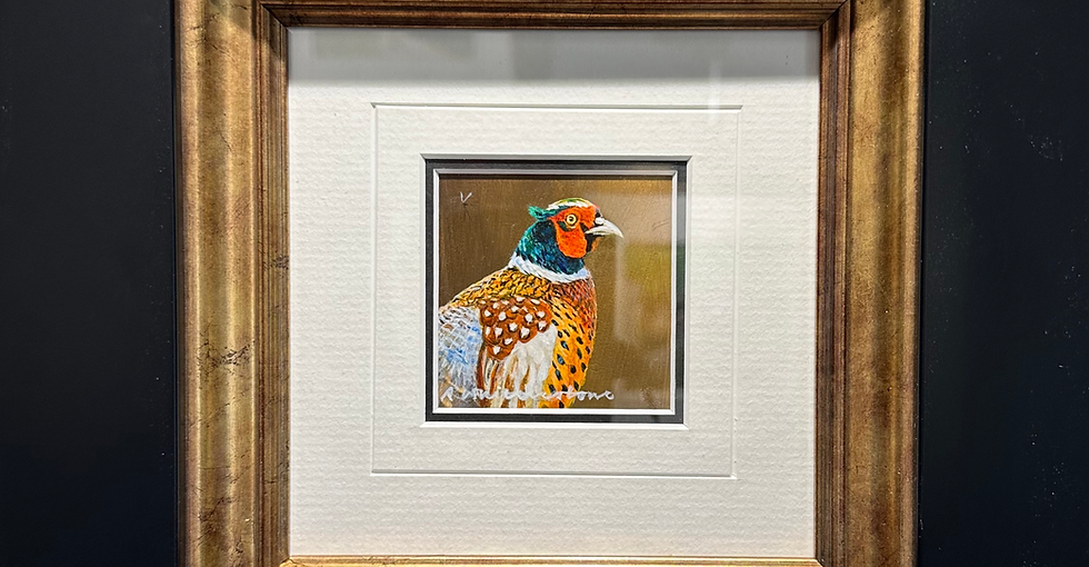 Pheasant