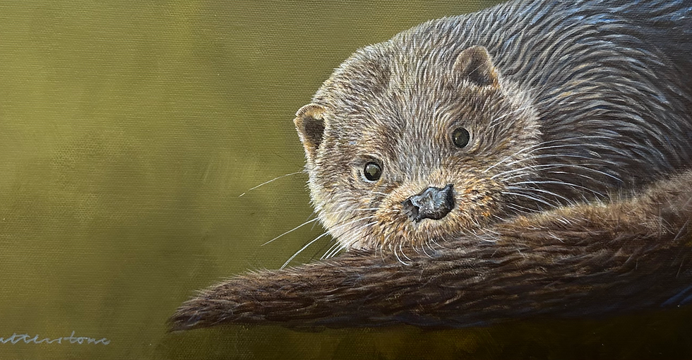 Otter Portrait