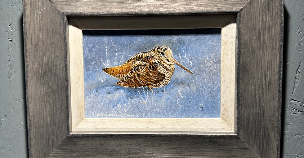 Woodcock in the Snow