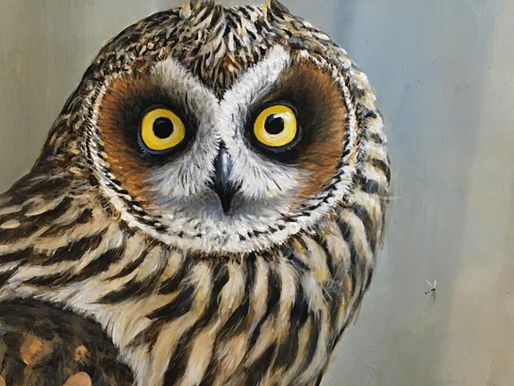 Let me tell you about my day.... it was a hoot!