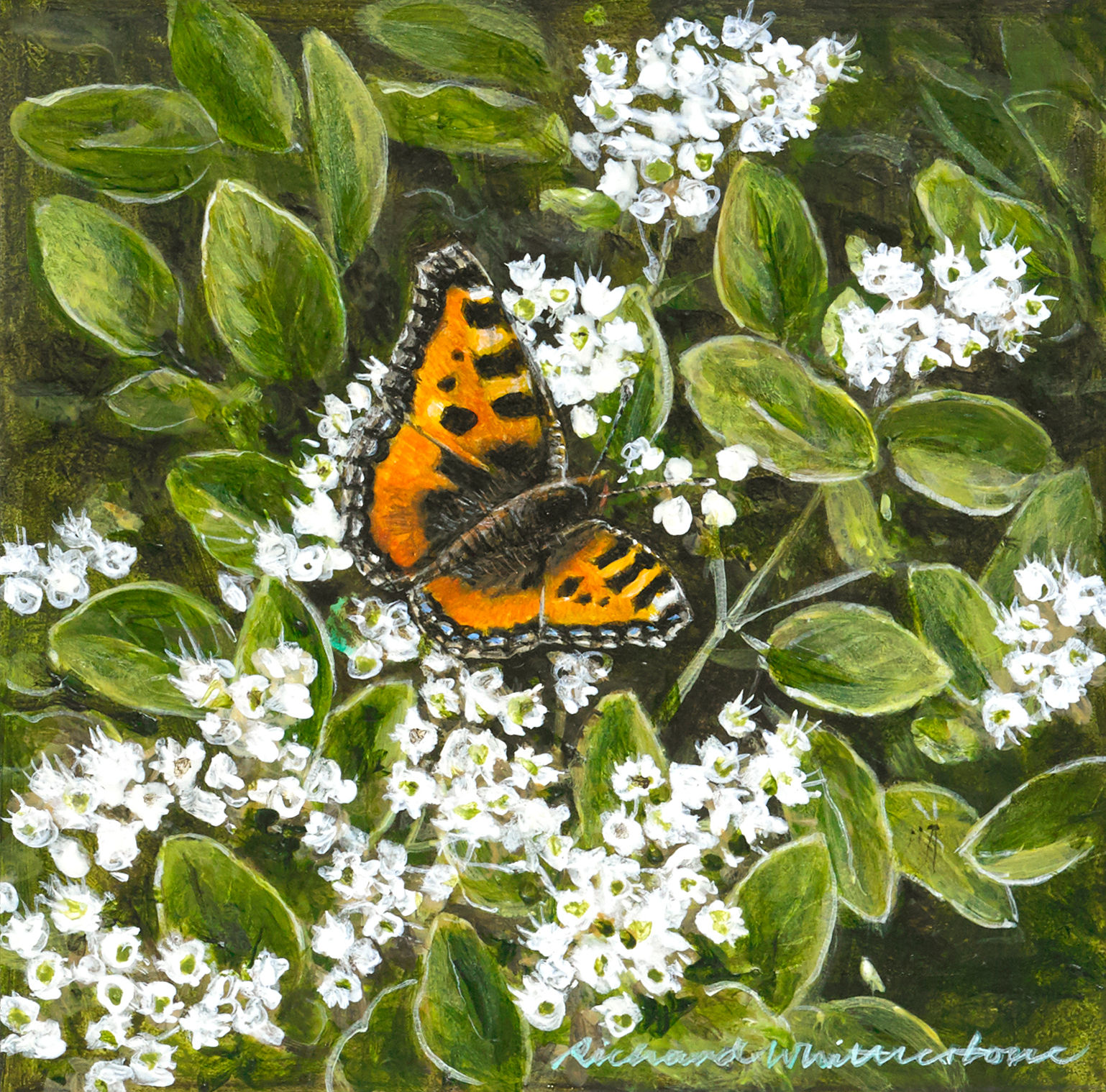 Small Tortoiseshell (unframed)