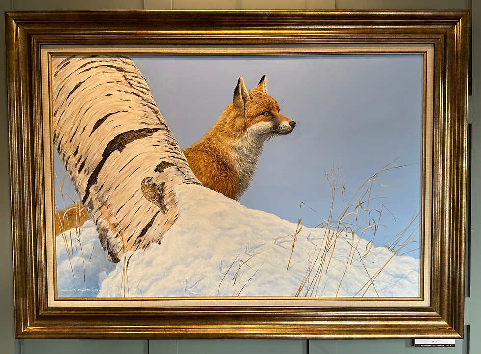 Thumbnail: Winterwatch