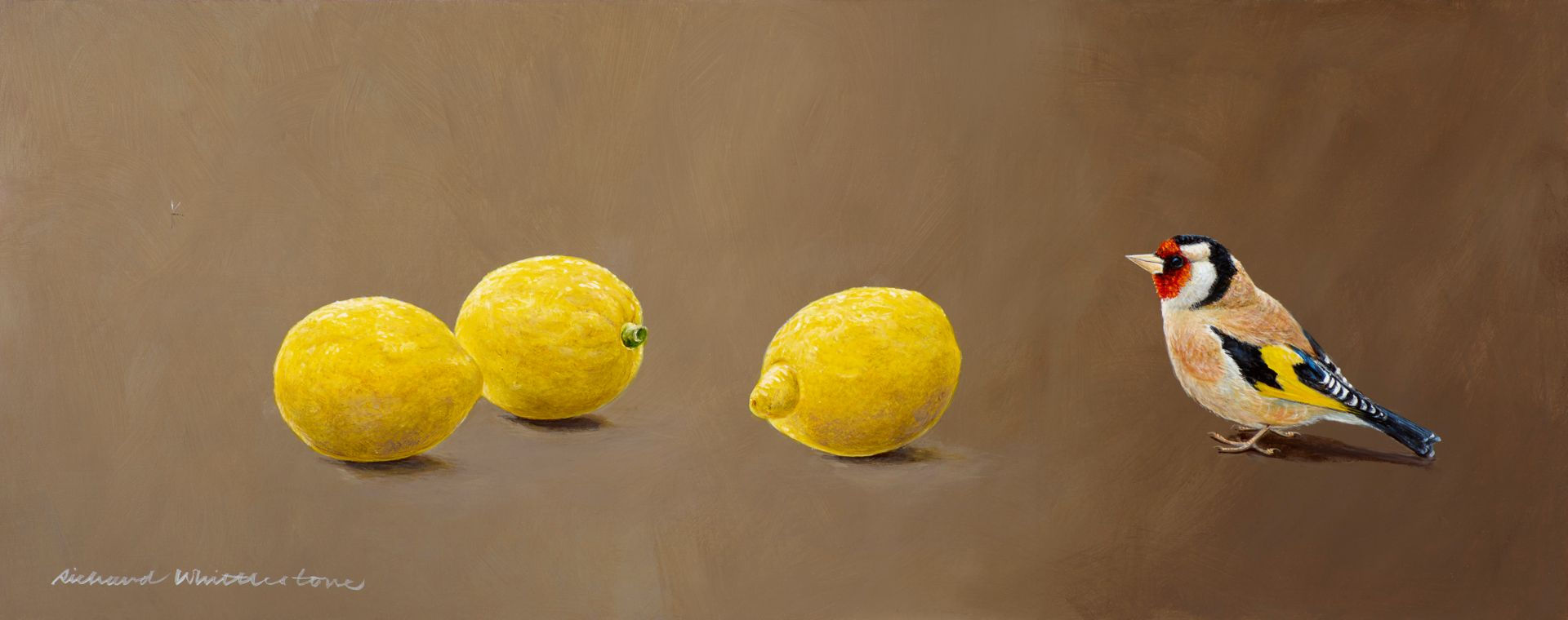 Goldfinch Bird Print by Wildlife Artist Richard Whittlestone