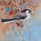 Thumbnail: Long-tailed Tit