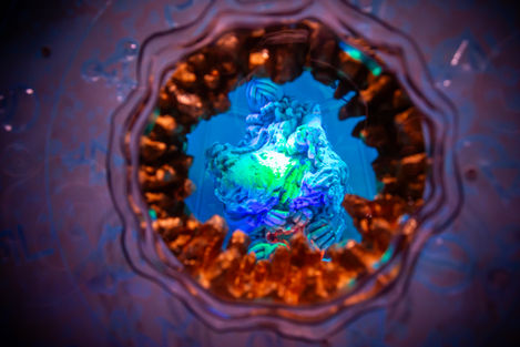 20250328_OM_New Room_THEM_0057