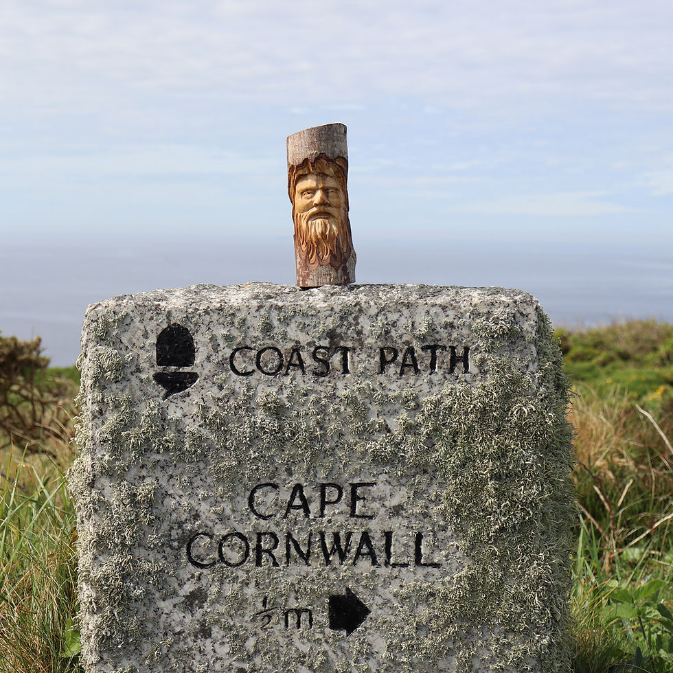 Thumbnail: ELM Tree Spirit