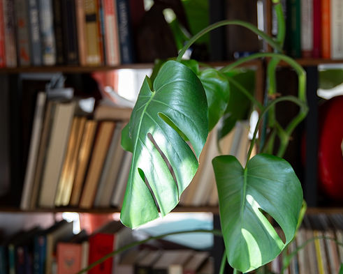 cardset-6 Large.jpeg