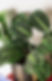 website-35.jpg