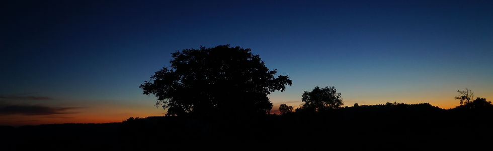 DSC05290.JPG