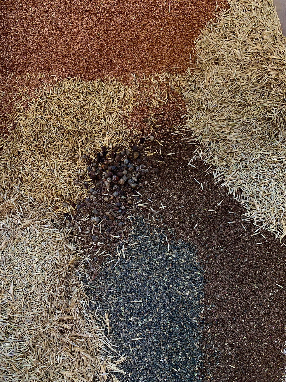sun seed mix