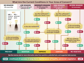 Decision Tree for Managing Rangeland Health Against Invasive Annual Grasses
