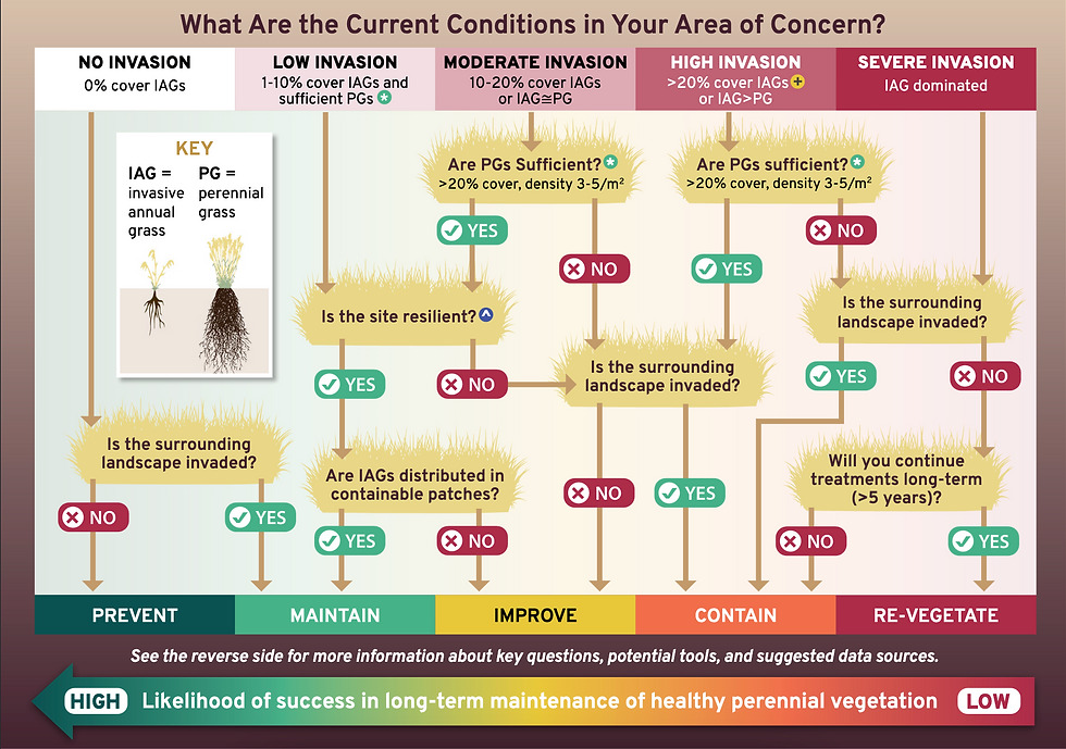 Decision Tree for Managing Rangeland Health Against Invasive Annual Grasses