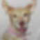 17937804014778956.webp