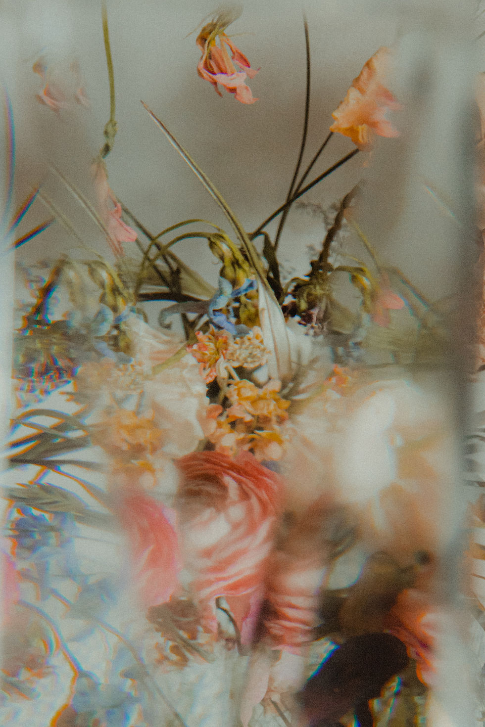 Beth Waterhouse - Distill