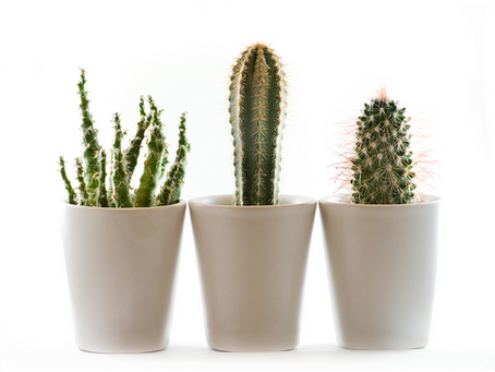 Why Is The Rule of Three So Powerful?