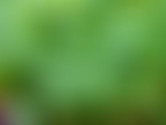 Why Microgreens Are Life's Little Surprises Worth Savoring