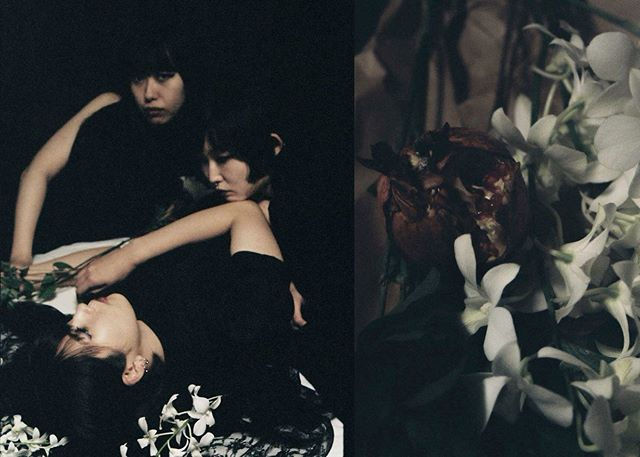 _ms.machine の新しいアーティスト写真を撮影しました。ざくろの花言葉は「円熟した優雅さ」.jpg