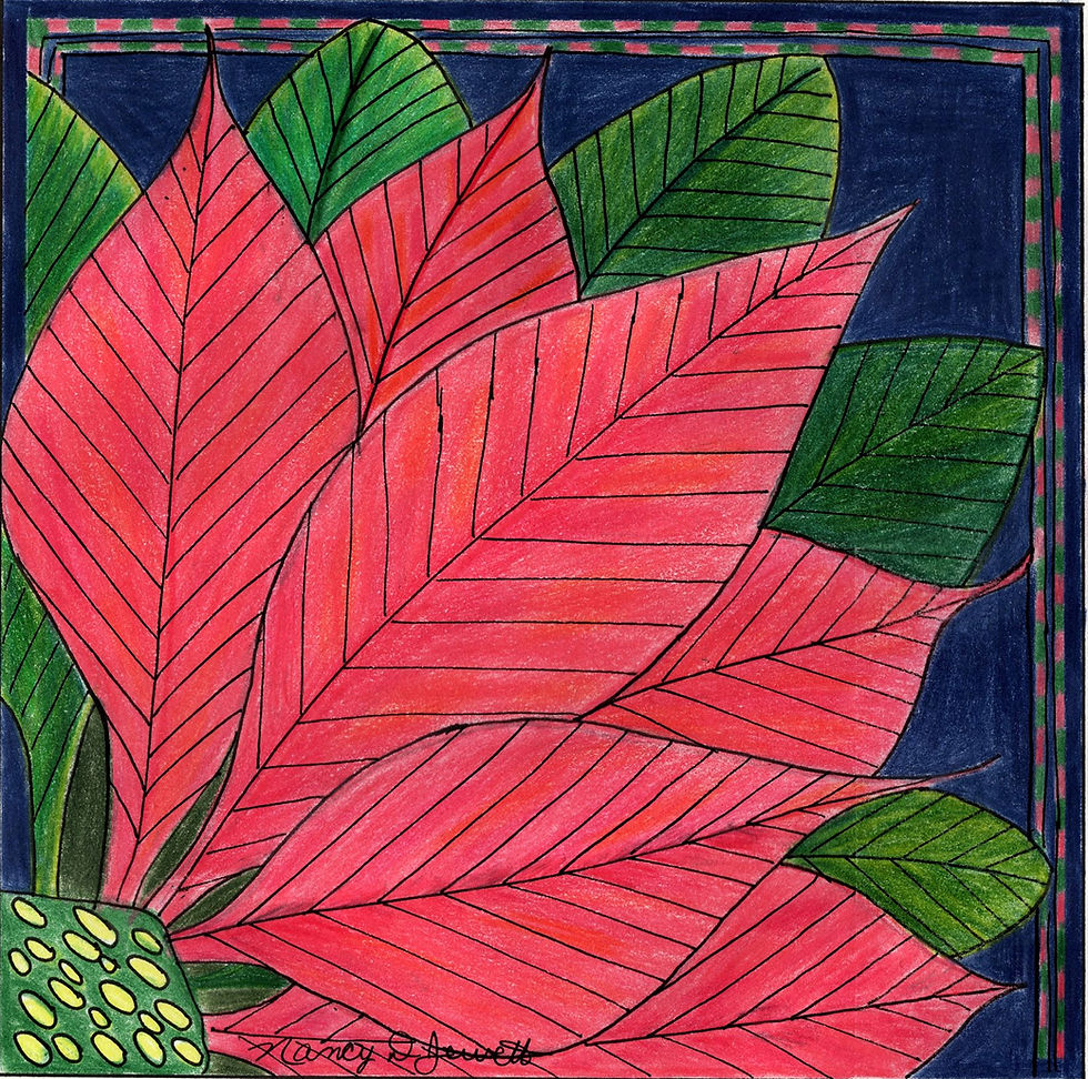 Wool Club Subsription