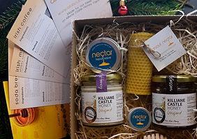 Corporate Bee Initiative