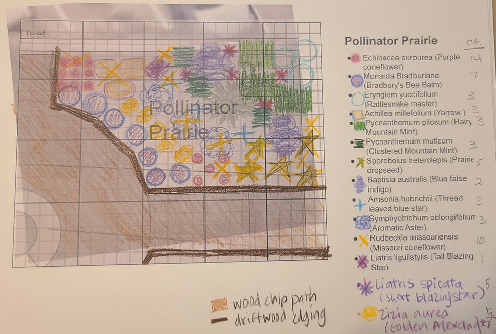 Pollinator Prairie