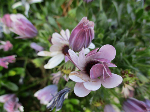 Embracing Surprises and Surrendering to Life