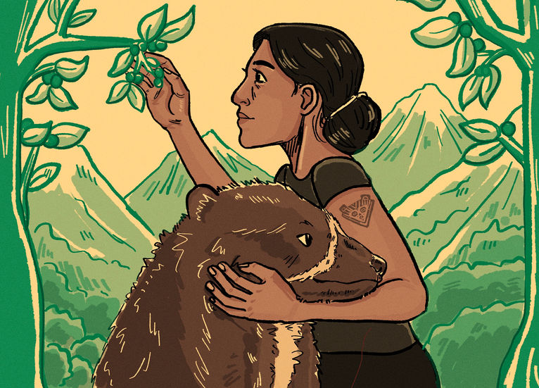 NatGeo Andes Bear Illustration