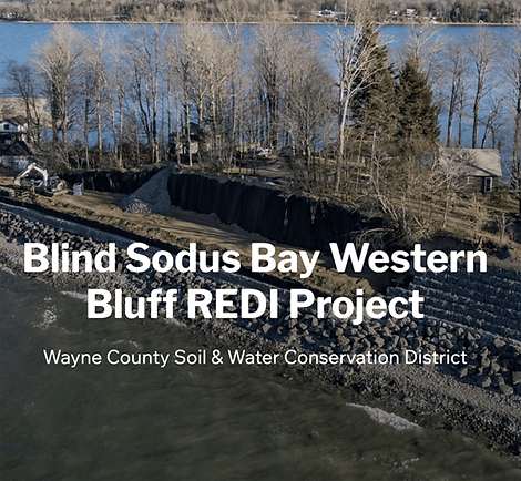 Blind Sodus Bay Western Bluff REDI Project: Wayne County Soil & Water Conservation District