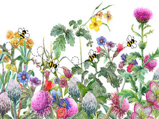 Out & About in Spring