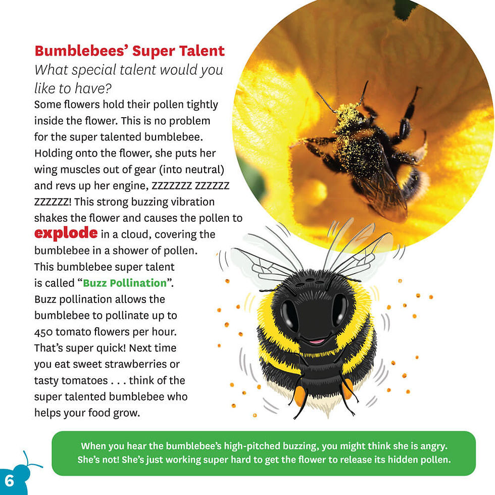 Thumbnail: Bumblebees Have Smelly Feet