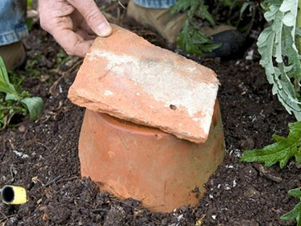 How to Make a Bumblebee Nest