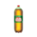 GUARANÁ ANTÁRTICA 2L