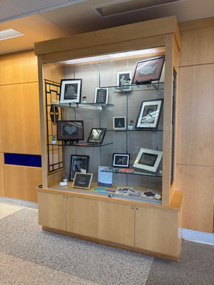 Be Well Initiative Display