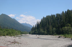 DSC00037.JPG