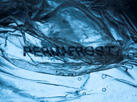 "Permafrost" Exhibition // Photography School // Dec 3 - 15