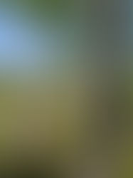 Bilder från gående läsningar #8