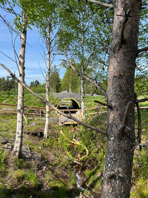 Bilder från gående läsningar #8