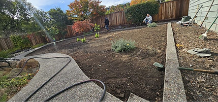 Untitled design - 2025-11-28T105220.485.jpg