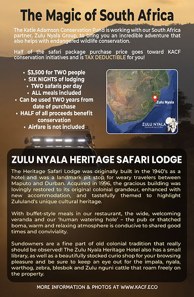 Safari Postcasd Back_jpg (2).jpg