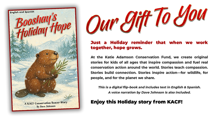 Booshay Promo 2_png.png