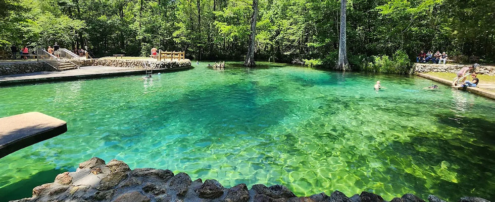 Ponce De Leon Park